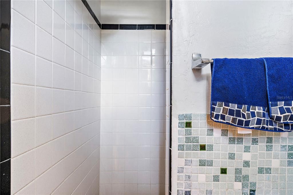 shower in garage bathroom