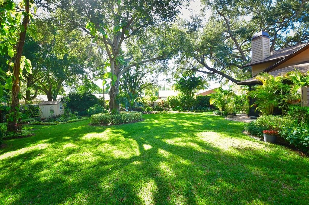 Lushly landscaped back yard