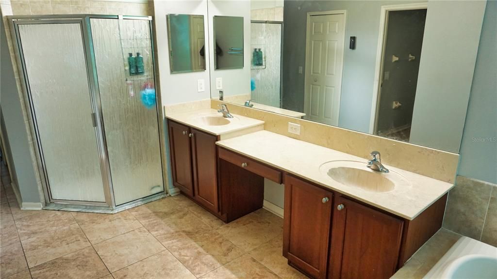 Sink/vanity combo and Standing Shower