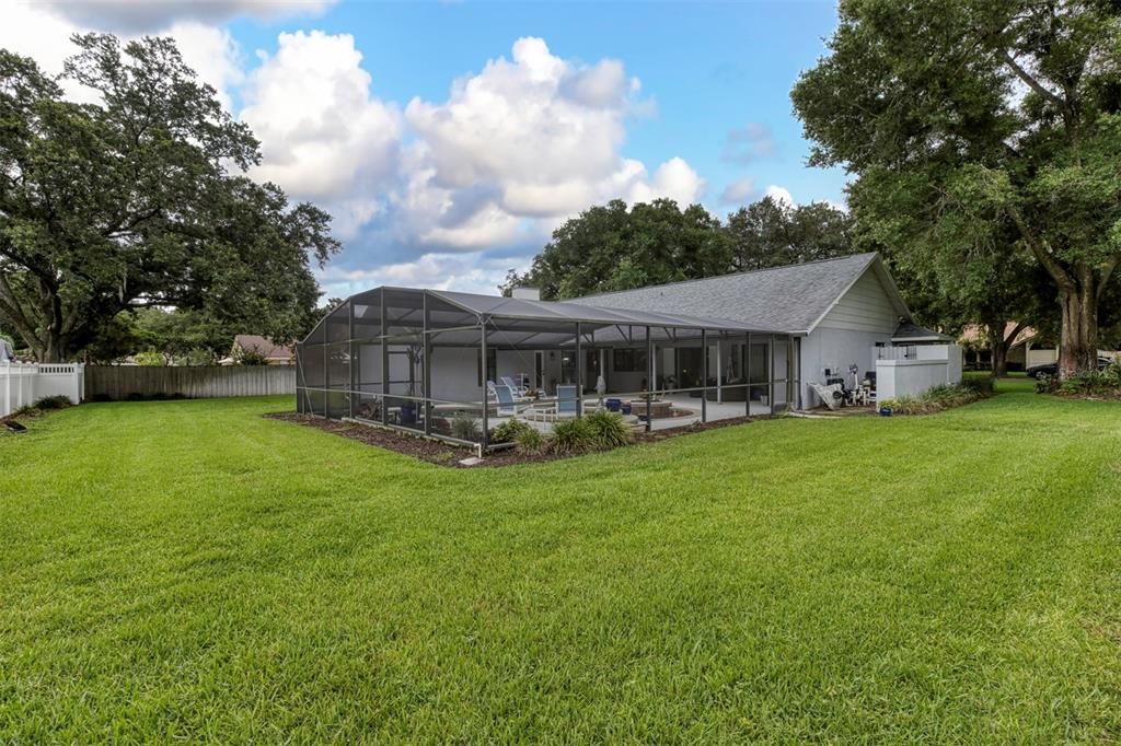 Alternate Yard View- lush and green