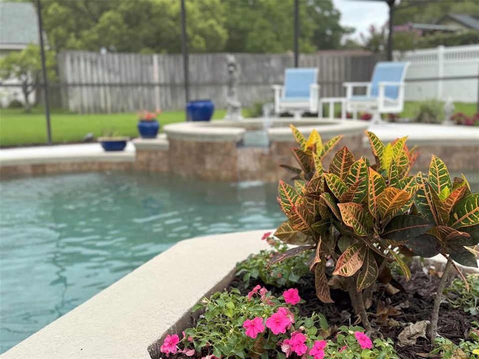 Pool Area with Nice Landscaping