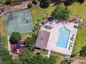 Pool & Basketball court