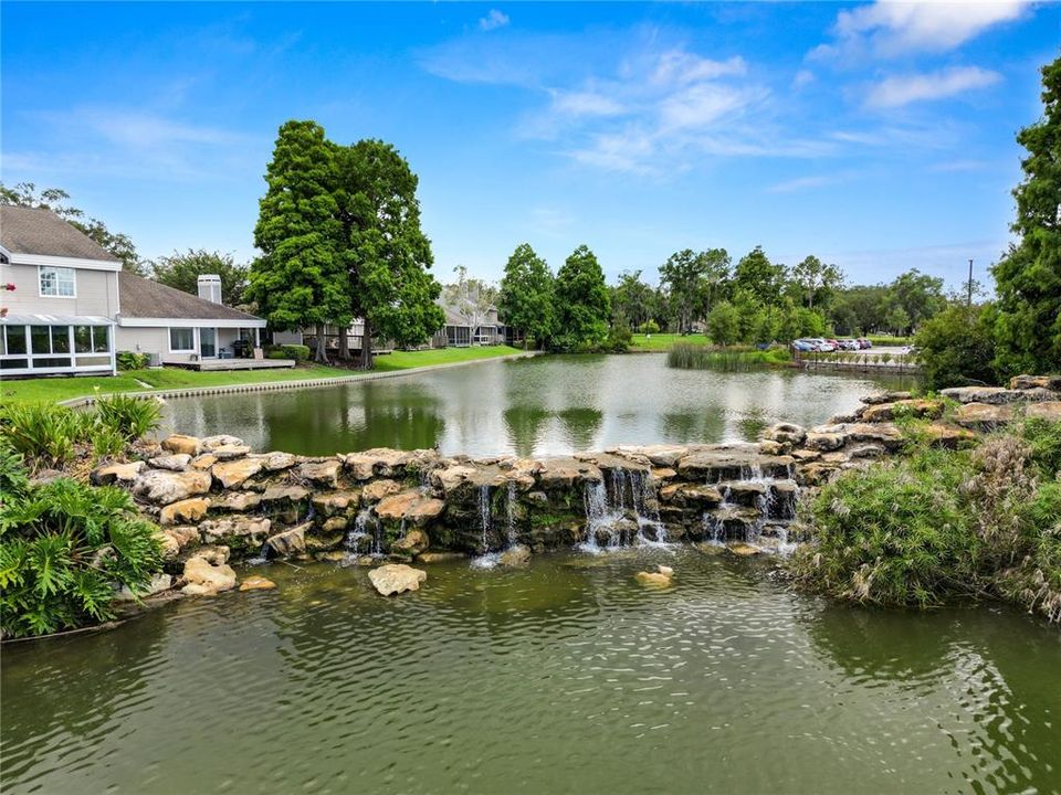 Pond/Waterfall