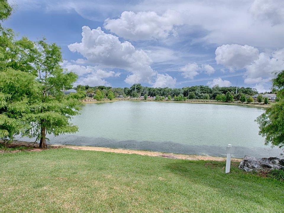 THE WILDLIFE VIEWED FROM  YOUR BACKYARD / BACK LANAI WILL BE INCREDIBLE!