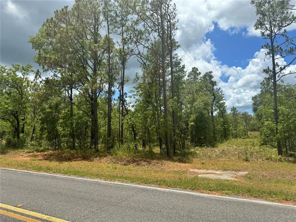 Active With Contract: $85,000 (5.00 acres)