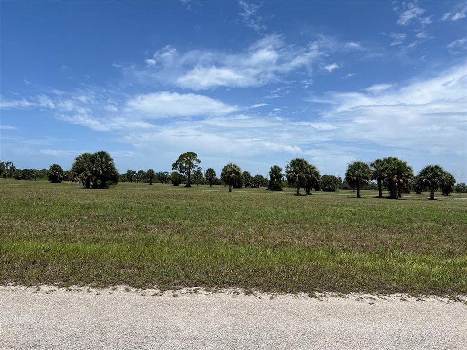 For Sale: $22,900 (0.17 acres)