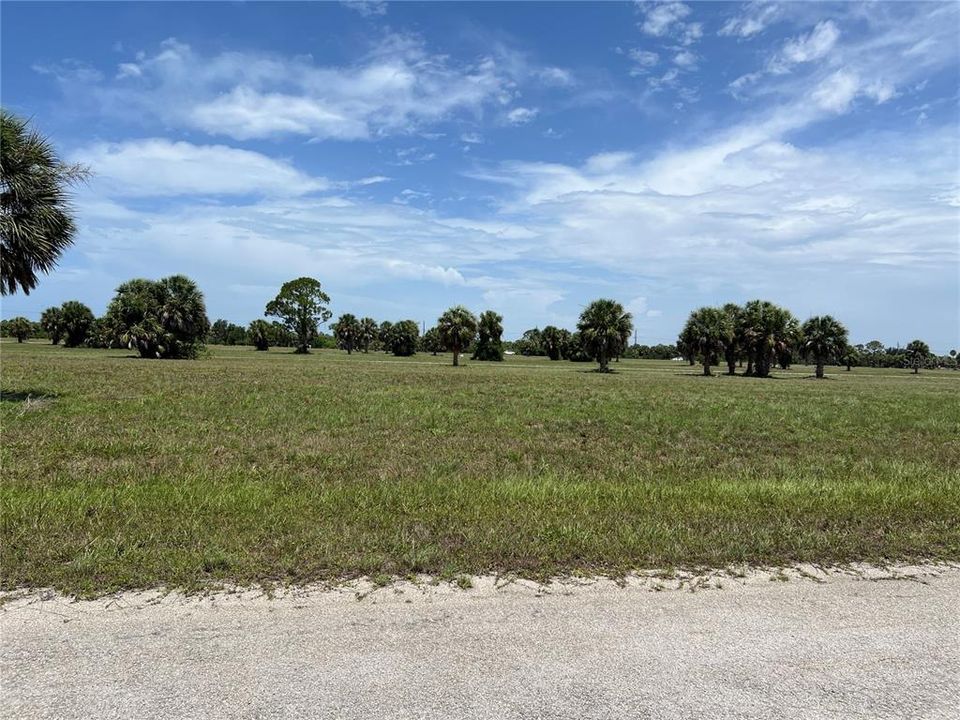 For Sale: $22,900 (0.17 acres)