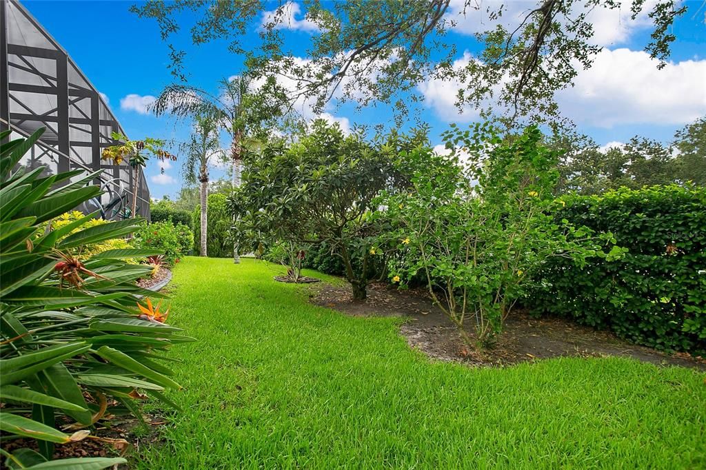 Beautiful Backyard with 7 ZONE IRRIGATION SYSTEM