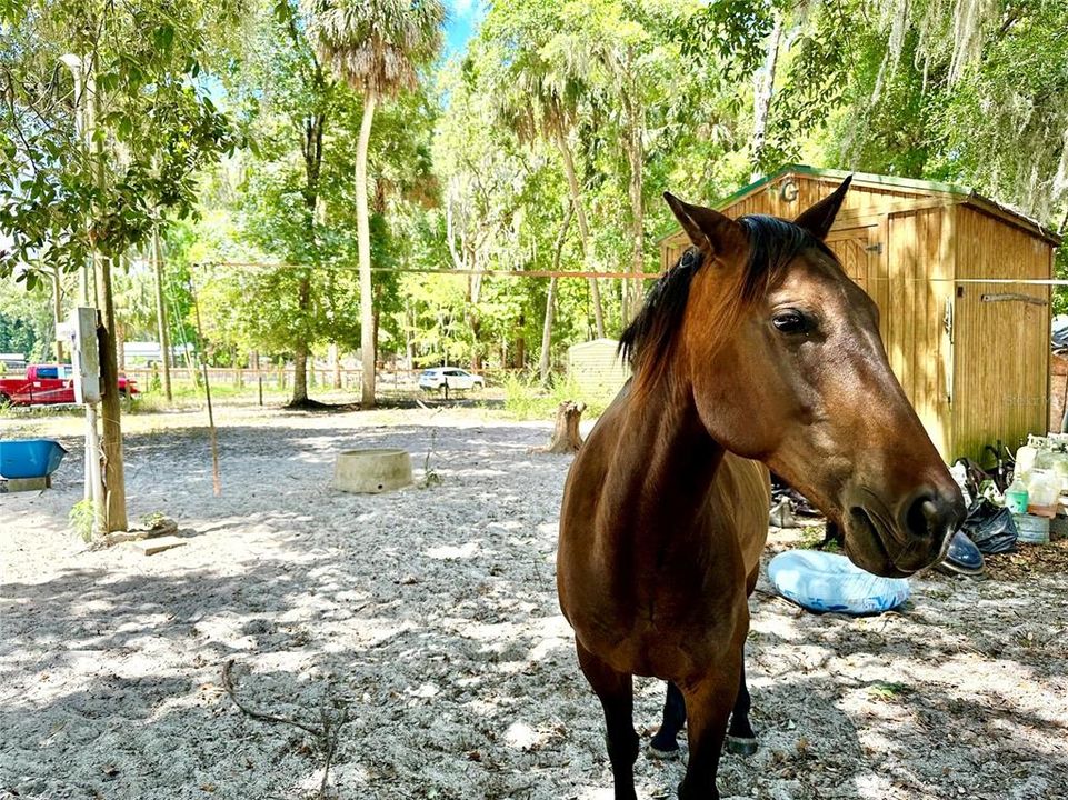 En Venta: $399,000 (4 camas, 2 baños, 1904 Pies cuadrados)