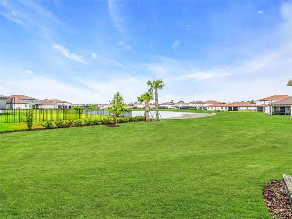 Backyard House View