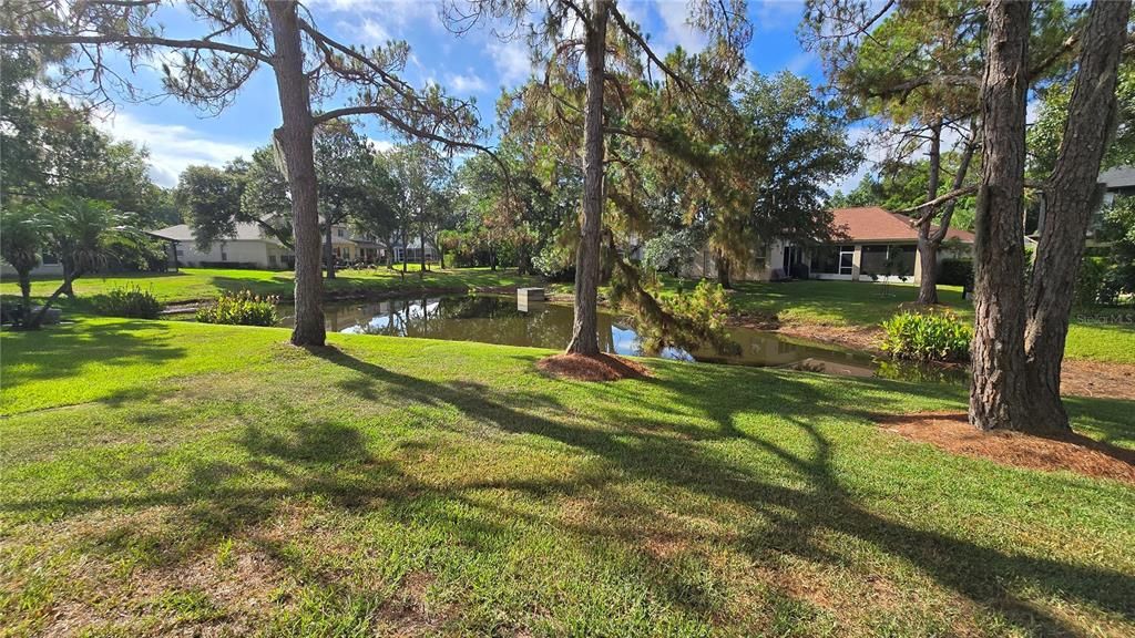 pond view