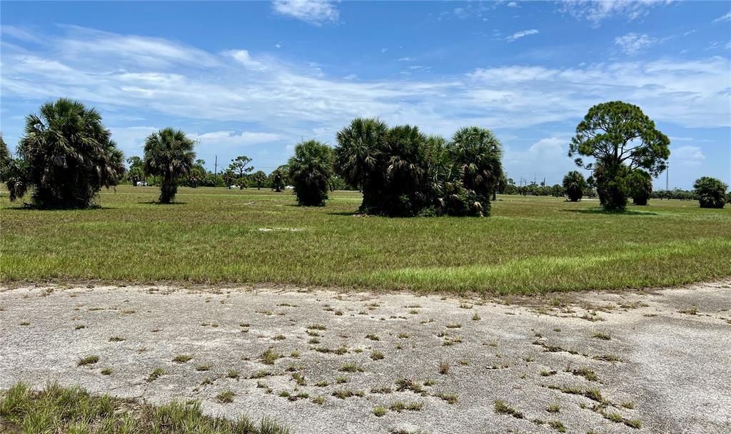 For Sale: $19,900 (0.20 acres)