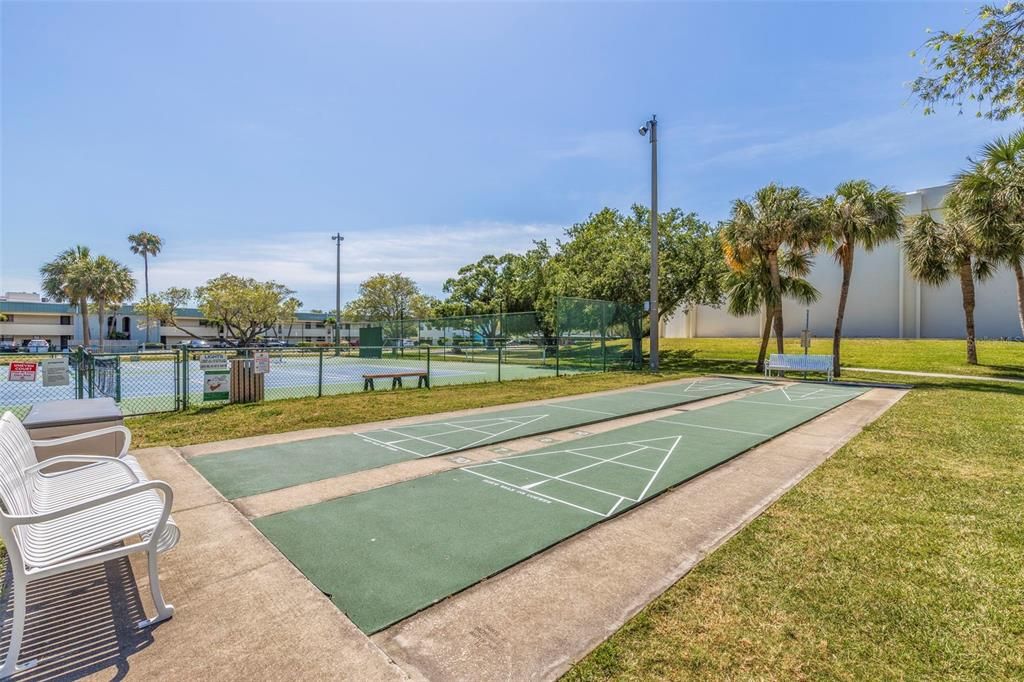 Shuffle board at the park across the street