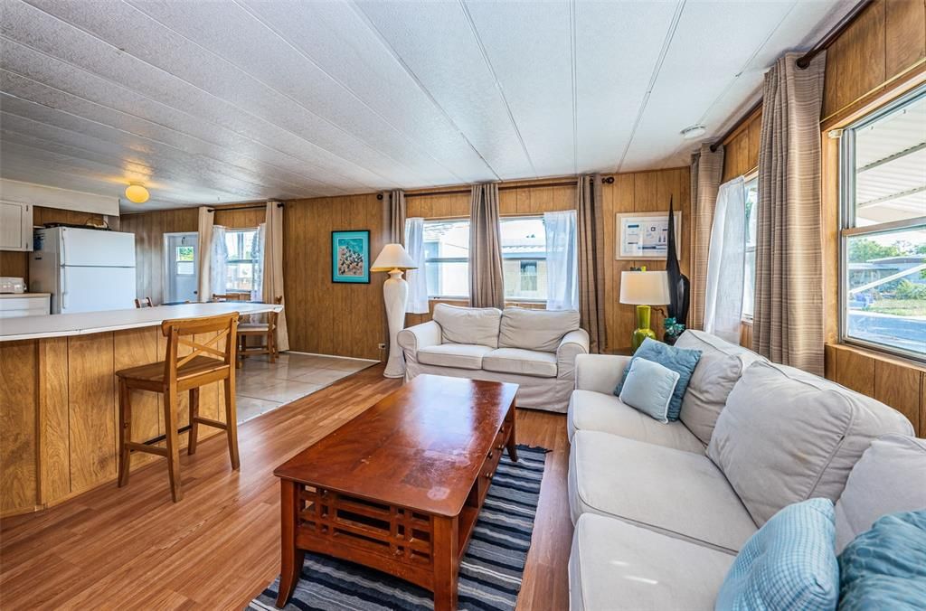 Living Room which overlooks the Kitchen.