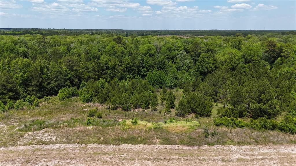 For Sale: $1,839,995 (216.47 acres)