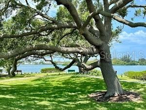 Lookout Point Park