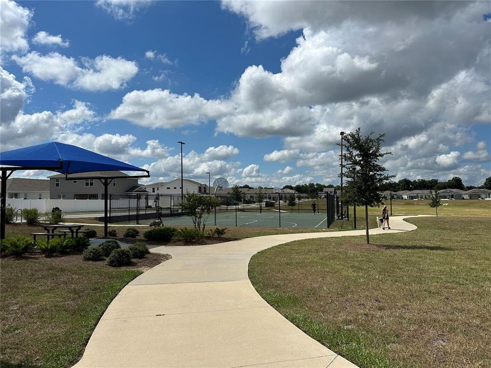 Basketball court