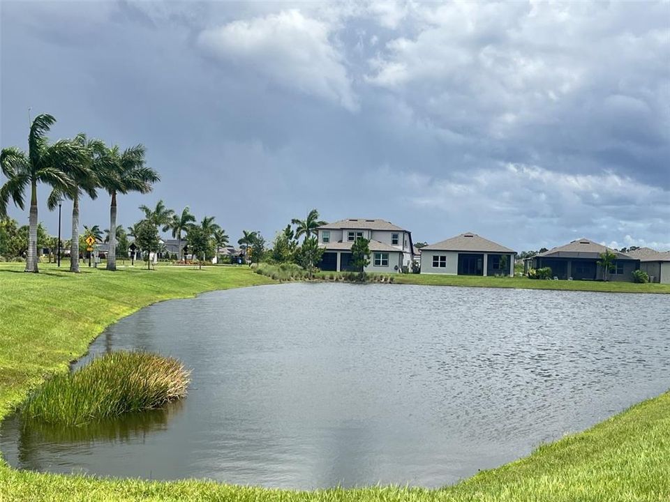 View of Pond and Home