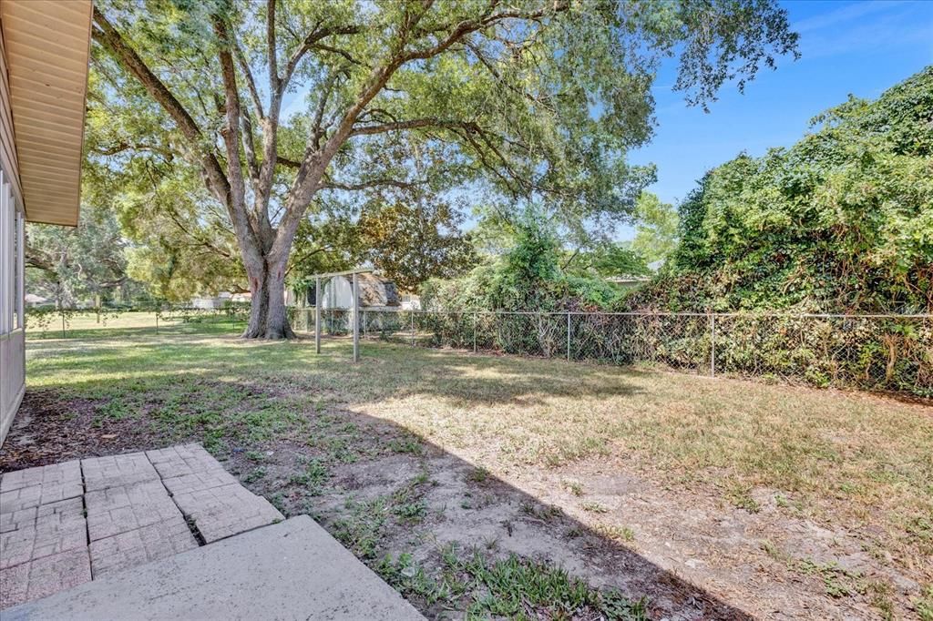 Fenced Back Yard