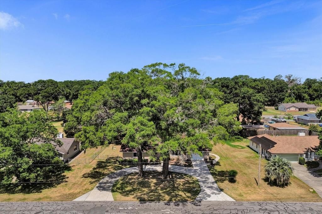 Front Aerial - circular driveway