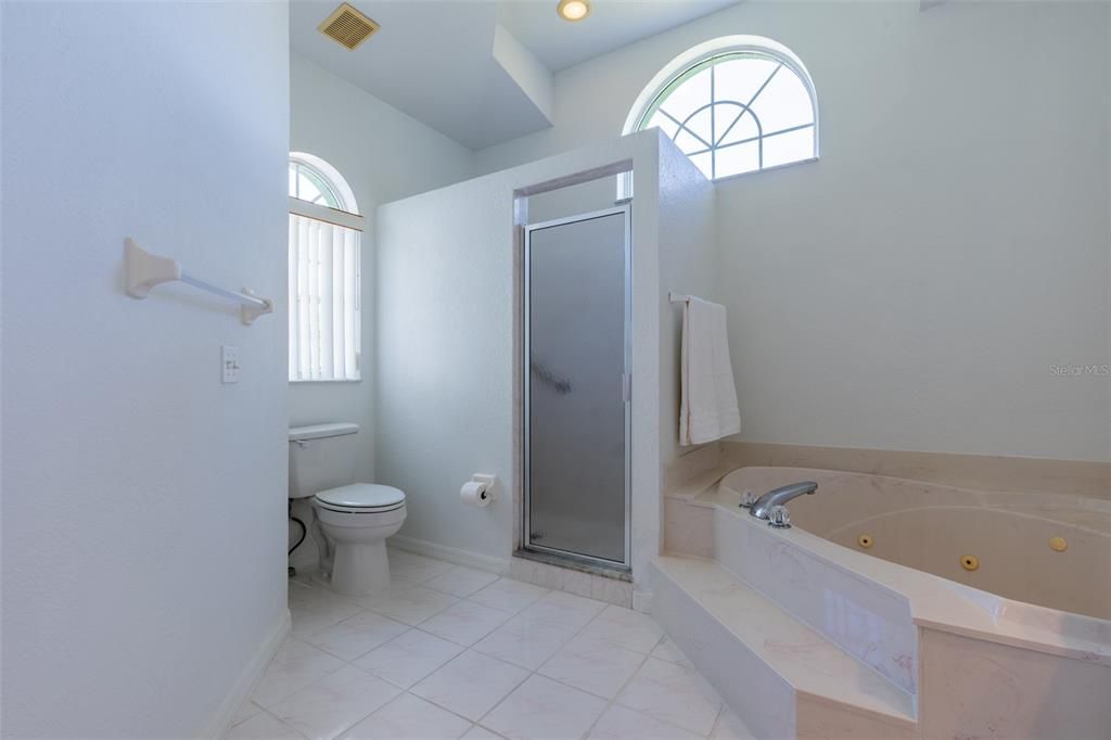 Jetted Tub, Shower, Half-Round Windows and more high ceilings and