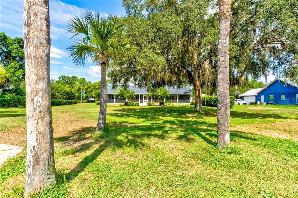 Expansive Backyard