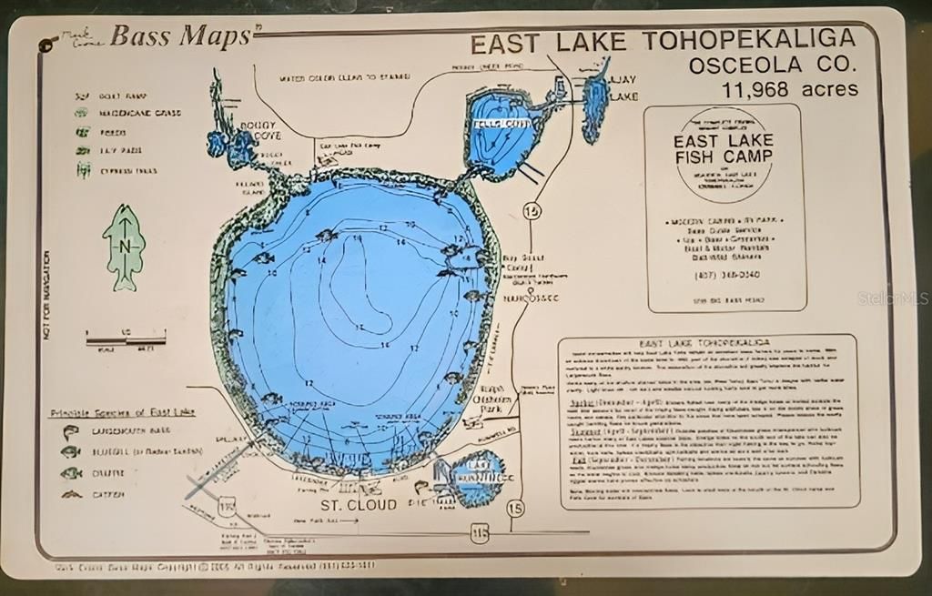 Bass Map