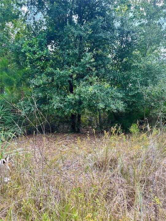 En Venta: $25,000 (0.23 acres)