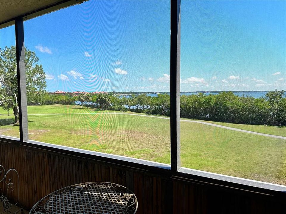 Large screened in porch with views of Tampa Bay