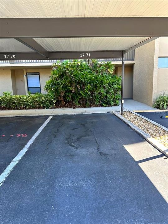 Condo parking space just steps from the elevator