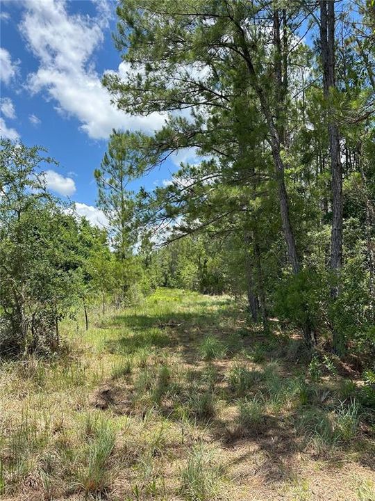 For Sale: $331,258 (37.22 acres)