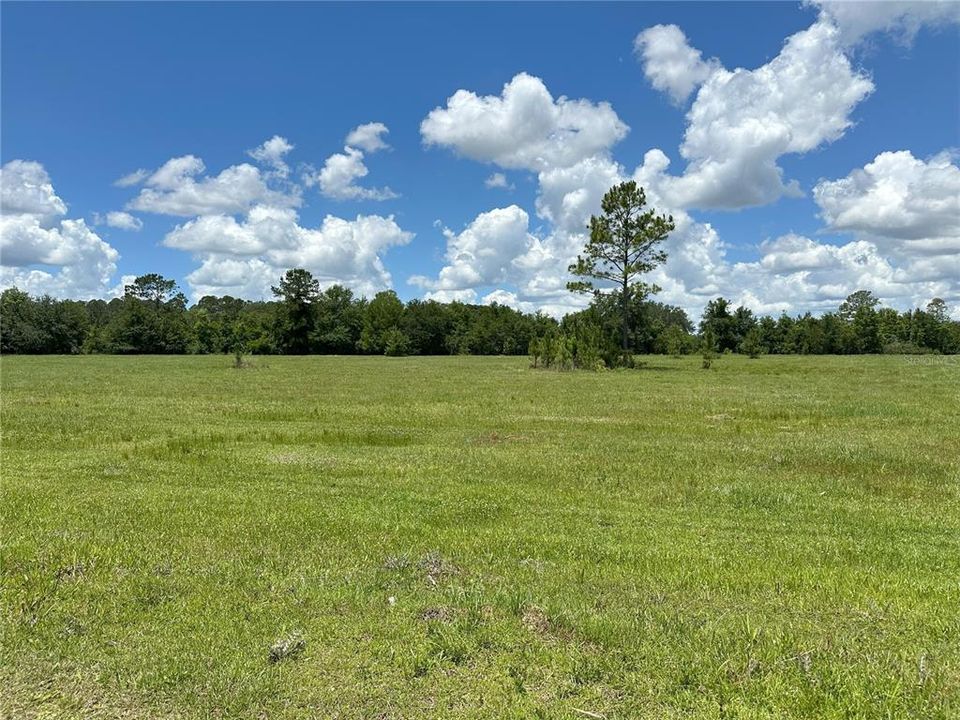 For Sale: $331,258 (37.22 acres)