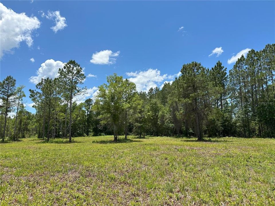 For Sale: $331,258 (37.22 acres)