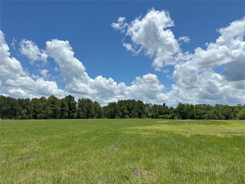 For Sale: $331,258 (37.22 acres)