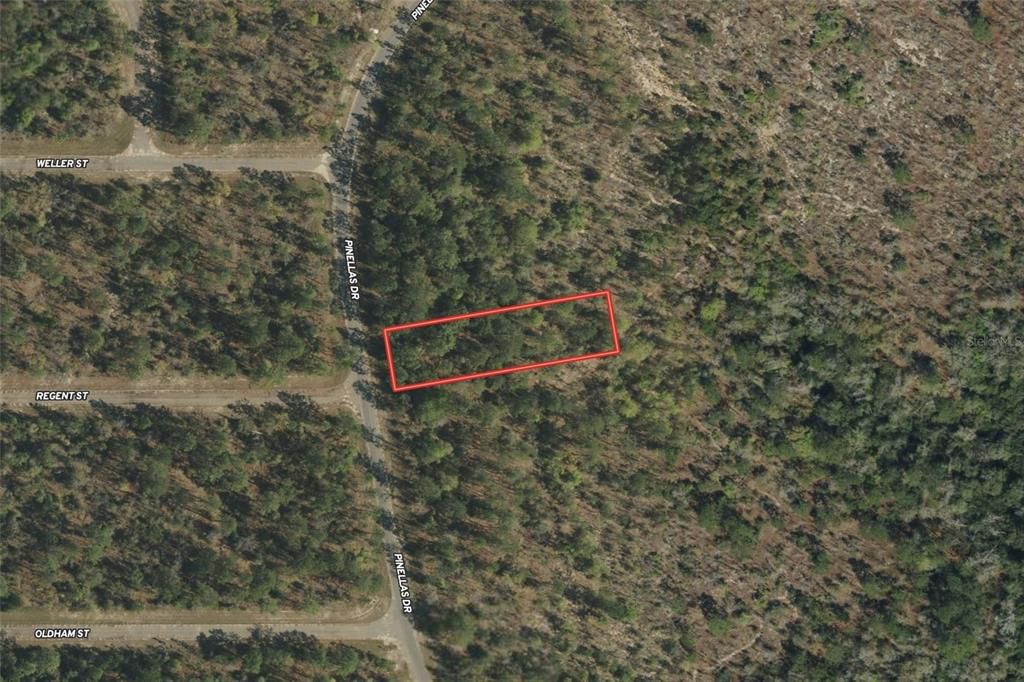 En Venta: $8,995 (0.55 acres)