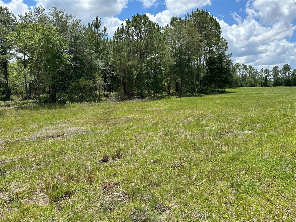 For Sale: $389,070 (39.30 acres)