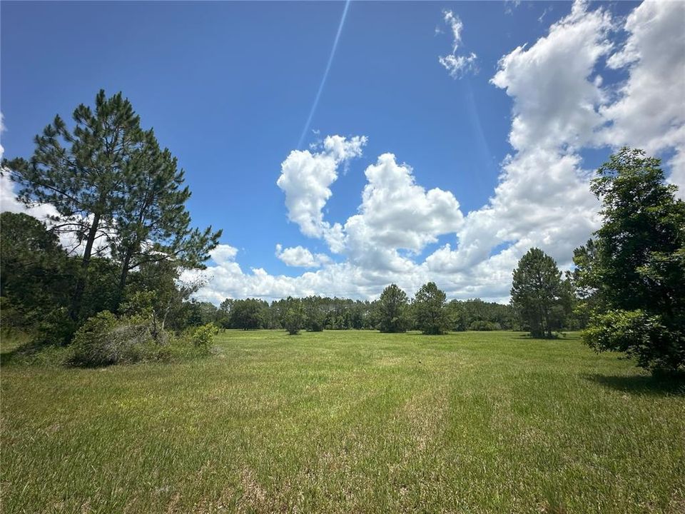 For Sale: $389,070 (39.30 acres)