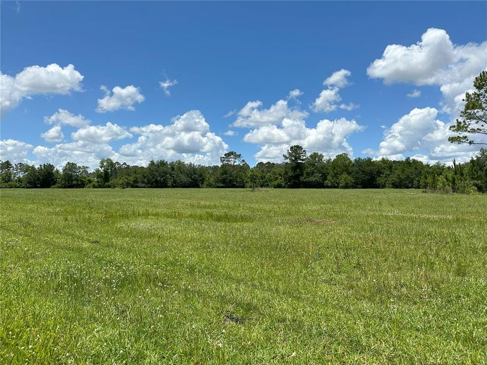 На продажу: $389,070 (39.30 acres)