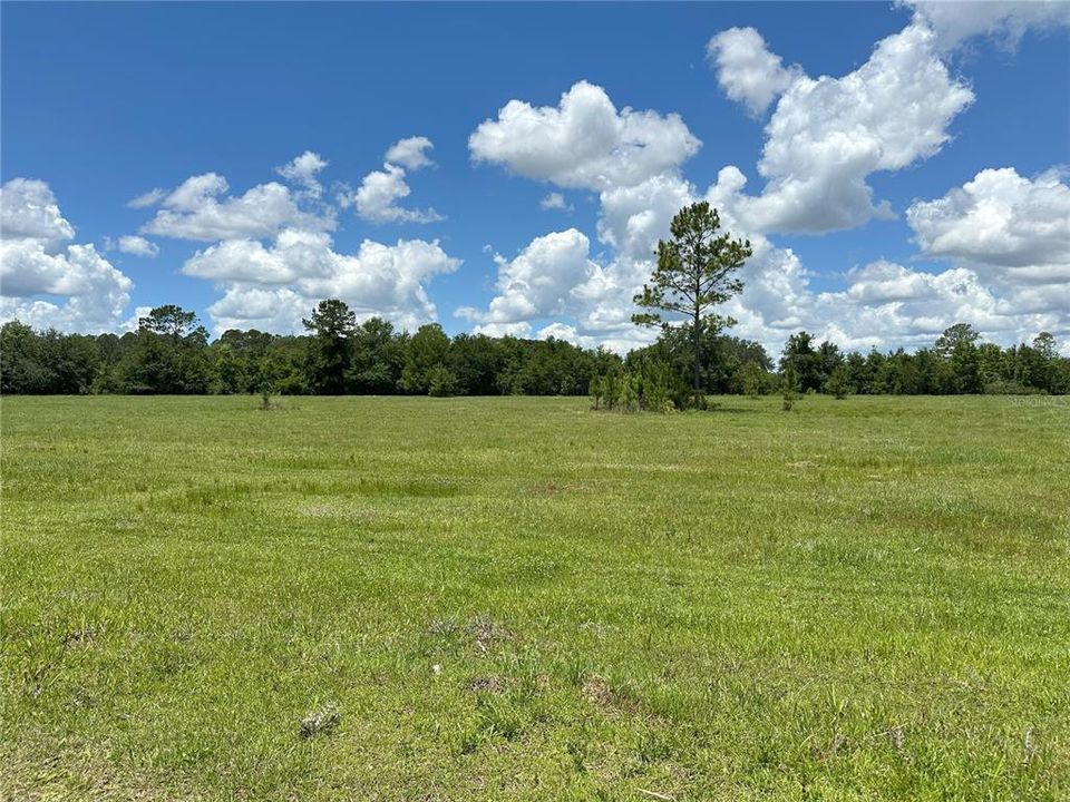 For Sale: $389,070 (39.30 acres)