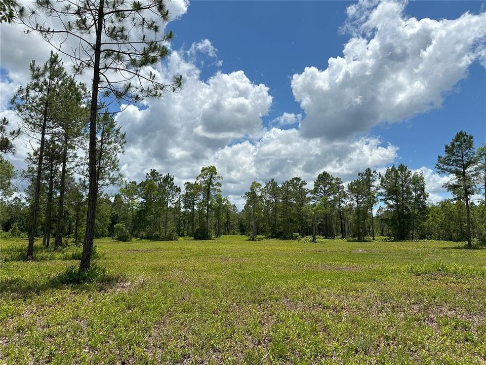 For Sale: $389,070 (39.30 acres)