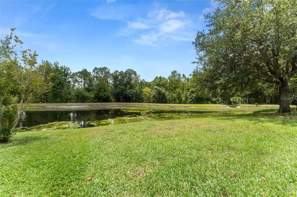 Aerial Views of Backyard