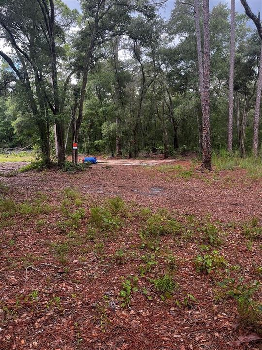 Active With Contract: $33,000 (1.18 acres)