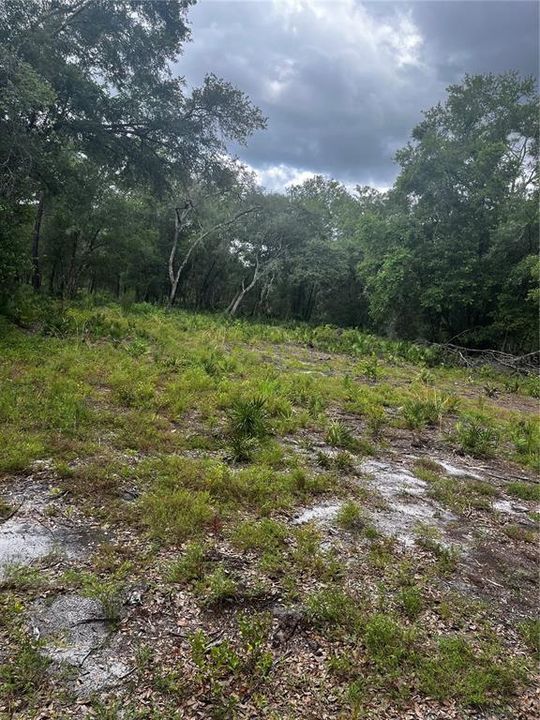 Active With Contract: $33,000 (1.18 acres)