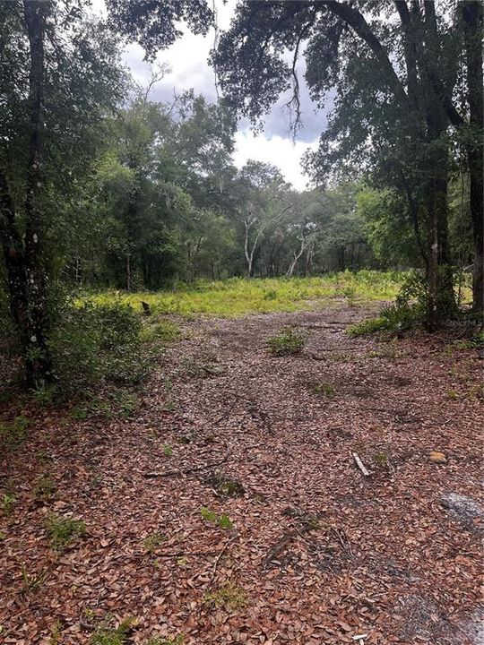 For Sale: $33,000 (1.18 acres)