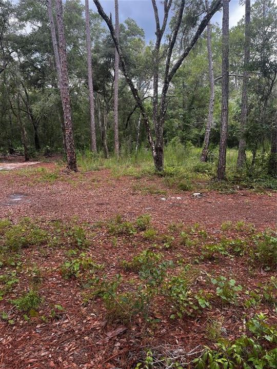 Active With Contract: $33,000 (1.18 acres)