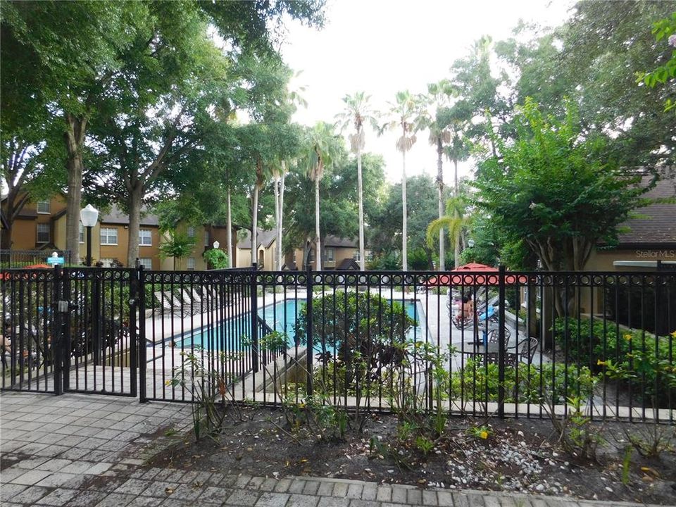 Community Pool