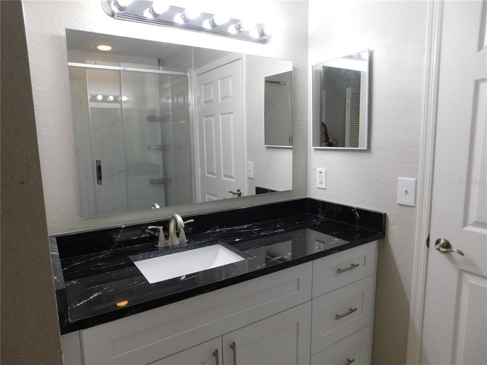 Upgraded lighting Sink with vanity