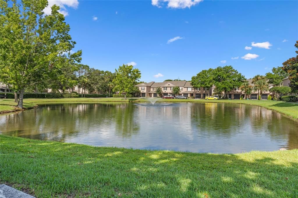 Pond view from front