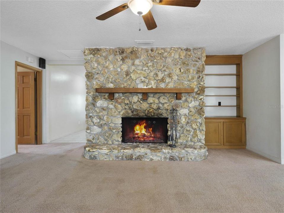 Fireplace and Built-ins