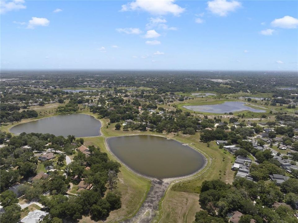 Lake Francis